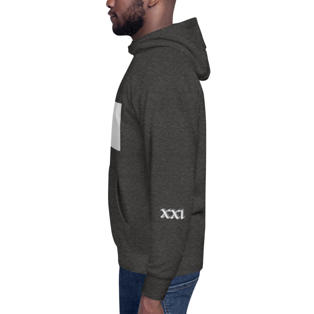 unisex premium hoodie charcoal heather left 61567ab78cdd5